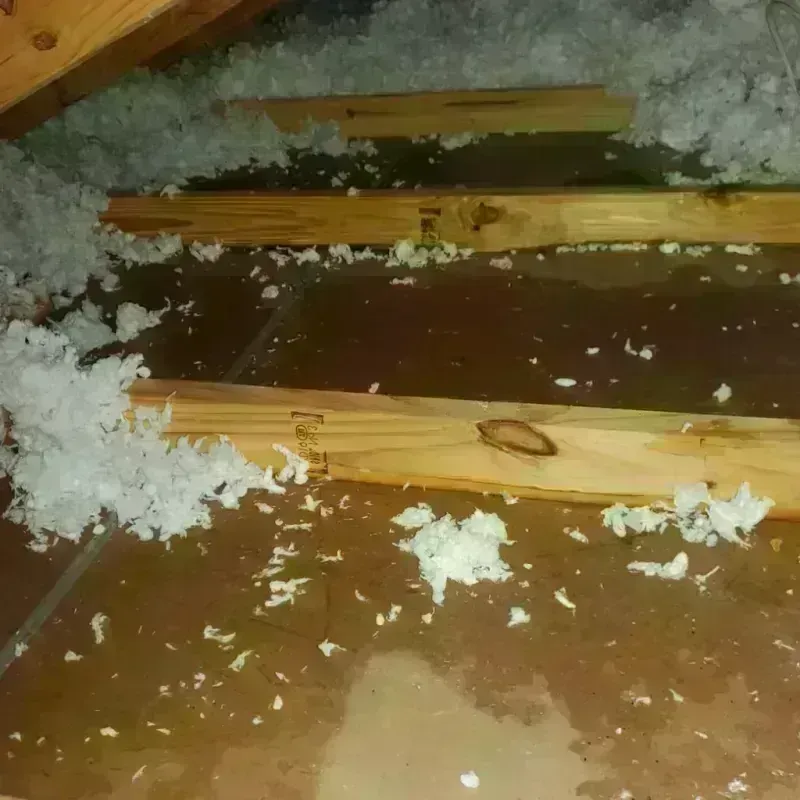 Attic Water Damage in Center Point, AL