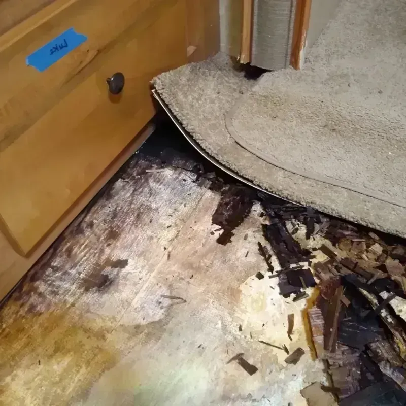 Wood Floor Water Damage in Center Point, AL